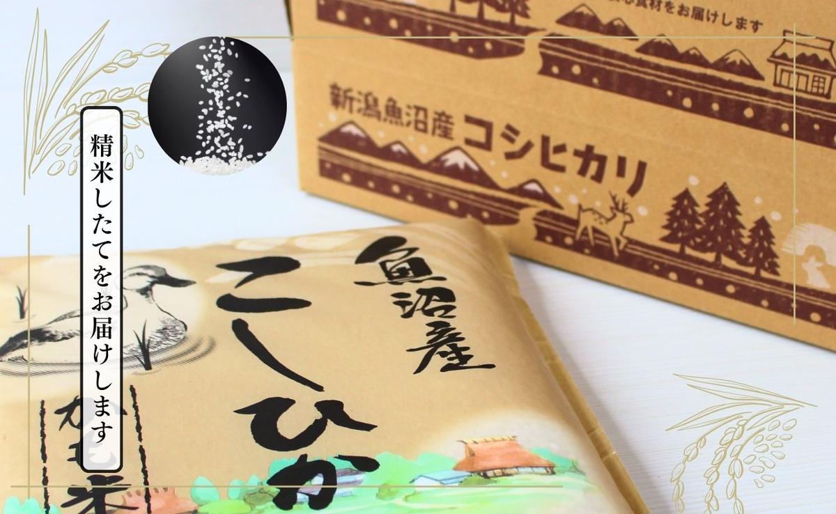 【ふるさと納税】【令和7年産】魚沼産コシヒカリかも米(精米)5kg　※栽培期間中農薬不使用 米 お米 こしひかり 精米 かも米 中魚沼 新潟県 十日町市　お届け：寄附入金確認後、順次発送