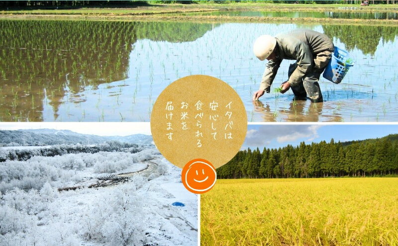 【新潟県十日町市】　【ふるさと納税】【令和7年産】魚沼産新之助(精米)10kg 米 お米 精米 しんのすけ 中魚沼 新潟県 十日町市　お届け：寄附受付確認後、順次発送