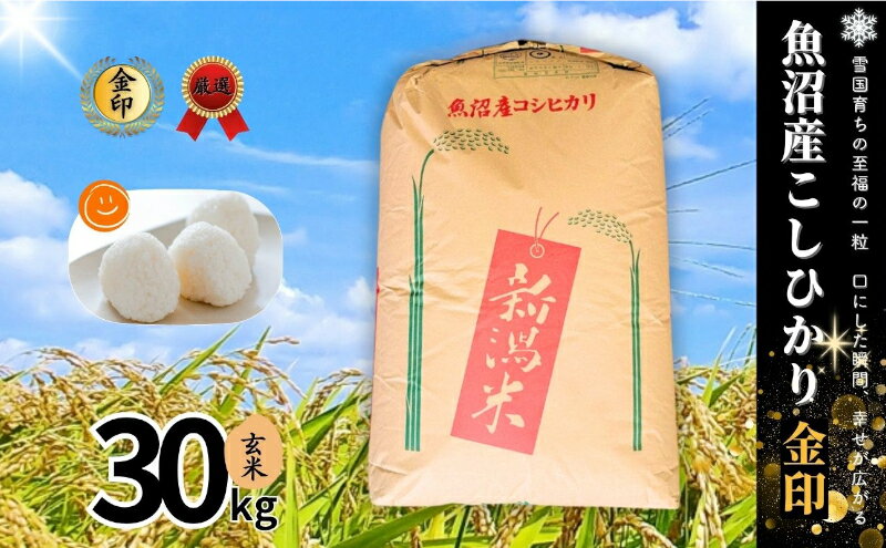 [令和7年産]魚沼産コシヒカリ金印(玄米)30kg 米 お米 こしひかり 玄米 中魚沼 新潟県 十日町市 お届け:寄附受付確認後、順次発送