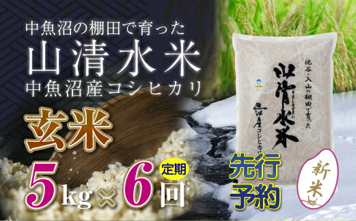 【ふるさと納税】【先行新米予約】【定期便/全6回】玄米5kg 新潟県魚沼産コシヒカリ「山清水米」十日町市 米 お届け:寄附入金確認後、10月上旬から順次発送します。