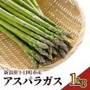 【ふるさと納税】アスパラガス 1kg 野菜 アスパラ 新潟県 十日町市 お届け:2025年5月下旬~6月下旬