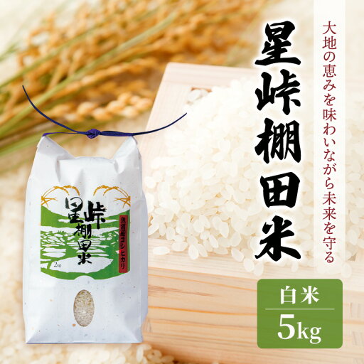 【ふるさと納税】大地の恵みを味わいながら未来を守る「星峠棚田米」 5kg(白米)越後まつだい 魚沼産コシヒカリ お届け:2025年10月中旬以降順次発送 【ふるさと納税】大地の恵みを味わいながら未来を守る「星峠棚田米」 5kg(白米)越後まつだい 魚沼産コシヒカリ お届け:2025年10月中旬以降順次発送