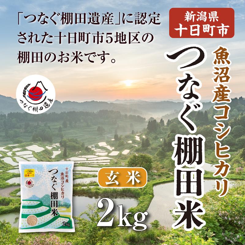 玄米2kg 令和7年産新潟県十日町市魚沼産コシヒカリ「つなぐ棚田米」 米 こしひかり 無洗米 十日町市 お届け:2026年9月下旬まで