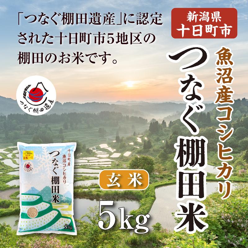 【ふるさと納税】玄米5kg 令和7年産新潟県十日町市魚沼産コシヒカリ「つなぐ棚田米」 米 こしひかり 無洗米 十日町市　お届け：2026年9月下旬まで f152102-tokamachi-10004297 新潟県十日町市 パッケージ画像