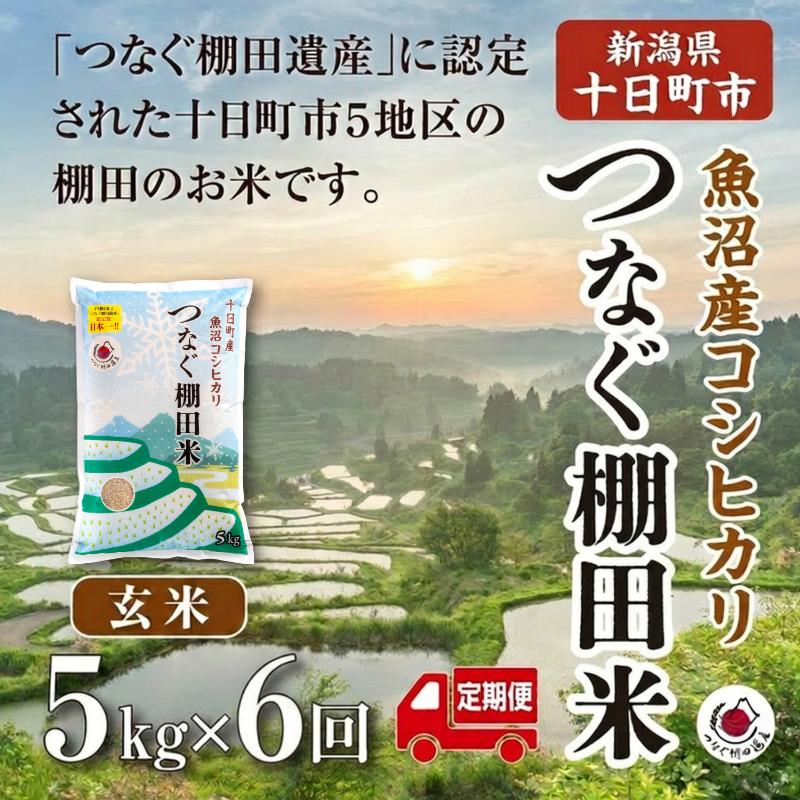 【ふるさと納税】【定期便／全6回】玄米5kg 令和7年産新潟県十日町市魚沼産コシヒカリ「つなぐ棚田米」 米 こしひかり 無洗米 十日町市　お届け：2027年2月下旬まで f152102-tokamachi-10004298 新潟県十日町市 パッケージ画像