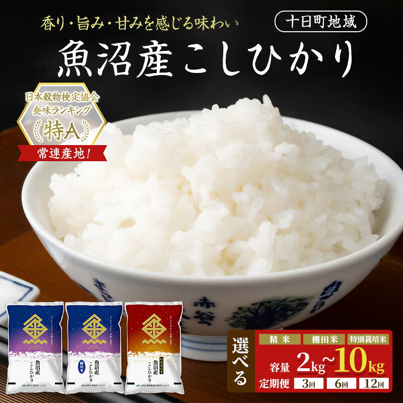 米 魚沼産 こしひかり 令和8年産 先行予約 選べる 精米 棚田米 特別栽培米 定期便 コシヒカリ 十日町地域
