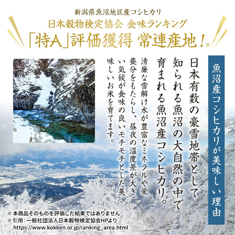 【ふるさと納税】米 魚沼産 こしひかり 令和8年産 先行予約 選べる 精米 棚田米 特別栽培米 定期便 コシヒカリ 十日町地域