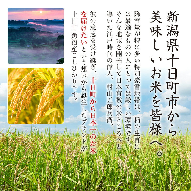 【ふるさと納税】米 魚沼産 こしひかり 令和8年産 先行予約 選べる 精米 棚田米 特別栽培米 定期便 コシヒカリ 十日町地域 f152102-tokamachi-10004322 新潟県十日町市 サンプル画像3