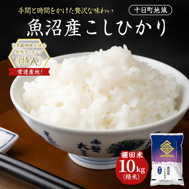 【ふるさと納税】魚沼産こしひかり 棚田米(十日町地域) 精米 10kg(5kg×2) 米 お米 コシヒカリ 十日町市　お届け：2026年10月上旬～2027年9月下旬