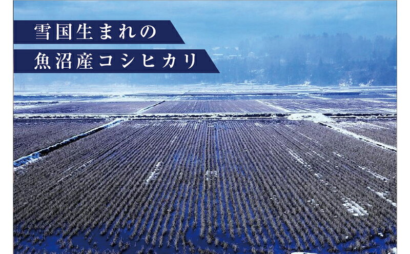 【ふるさと納税】令和8年産米 先行予約 新米 極上魚沼産コシヒカリ 令和8年産米 3kg(1kg×3) 無洗米【先行受付10月下旬～順次発送】 ゆきまち米　お届け：2026年10月下旬～11月下旬まで f152102-tokamachi-10004339 新潟県十日町市 サンプル画像3