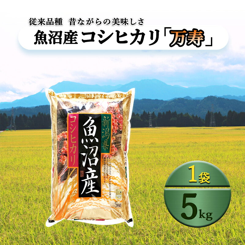 令和8年産 先行予約 [数量限定]定期便/全3回 従来品種 魚沼産コシヒカリ 5kg [令和8年10月下旬〜発送予定] お届け:2026年10月下旬〜12月下旬まで