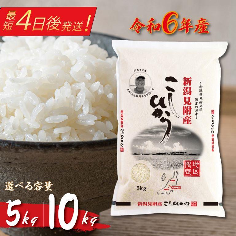 【ふるさと納税】【12/21まで年内発送】米 コメ コシヒカリ 5kg 10kg 精米 新潟 株式会社田中米穀 見附 見附市のサムネイル