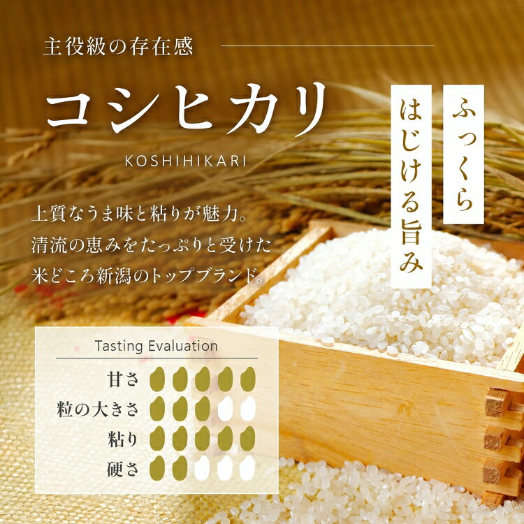 【ふるさと納税】米 令和7年 1kg 2kg 5kg 10kg(5kg×2) ＼4～7営業日以内に配送／ コメ お米 コシヒカリ こしひかり 令和7年産 2025年産 送料無料 送料 精米 白米 新潟 株式会社田中米穀 見附 見附市