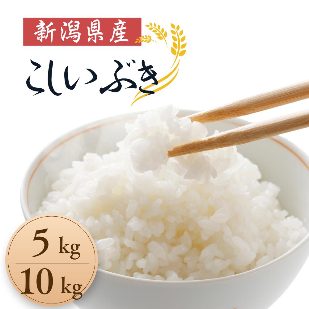 【ふるさと納税】米 コメ お米 おこめ こしいぶき 精米 白米 5kg 10kg 令和7年産 2025年産 送料無料 新潟 見附 見附市 岩渕農場