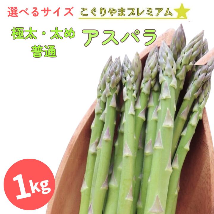 蘆筍 - 【ふるさと納税】新潟県産 アスパラ 1kg 超極太 太め 普通 アスパラガス 朝どれ こぐりやまプレミアム 見附 お取り寄せ 令和7年産 送料無料 ファーム小栗山