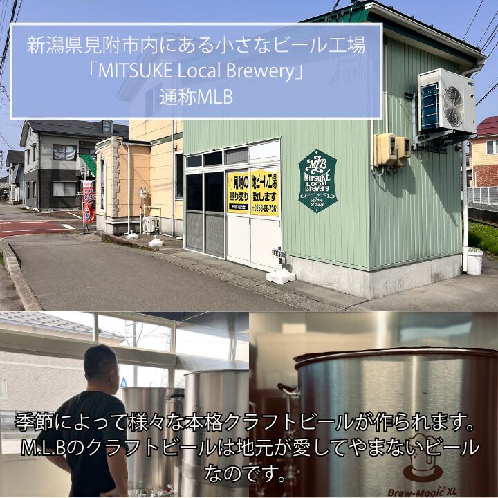 【ふるさと納税】M.L.Bフルライン6本セット