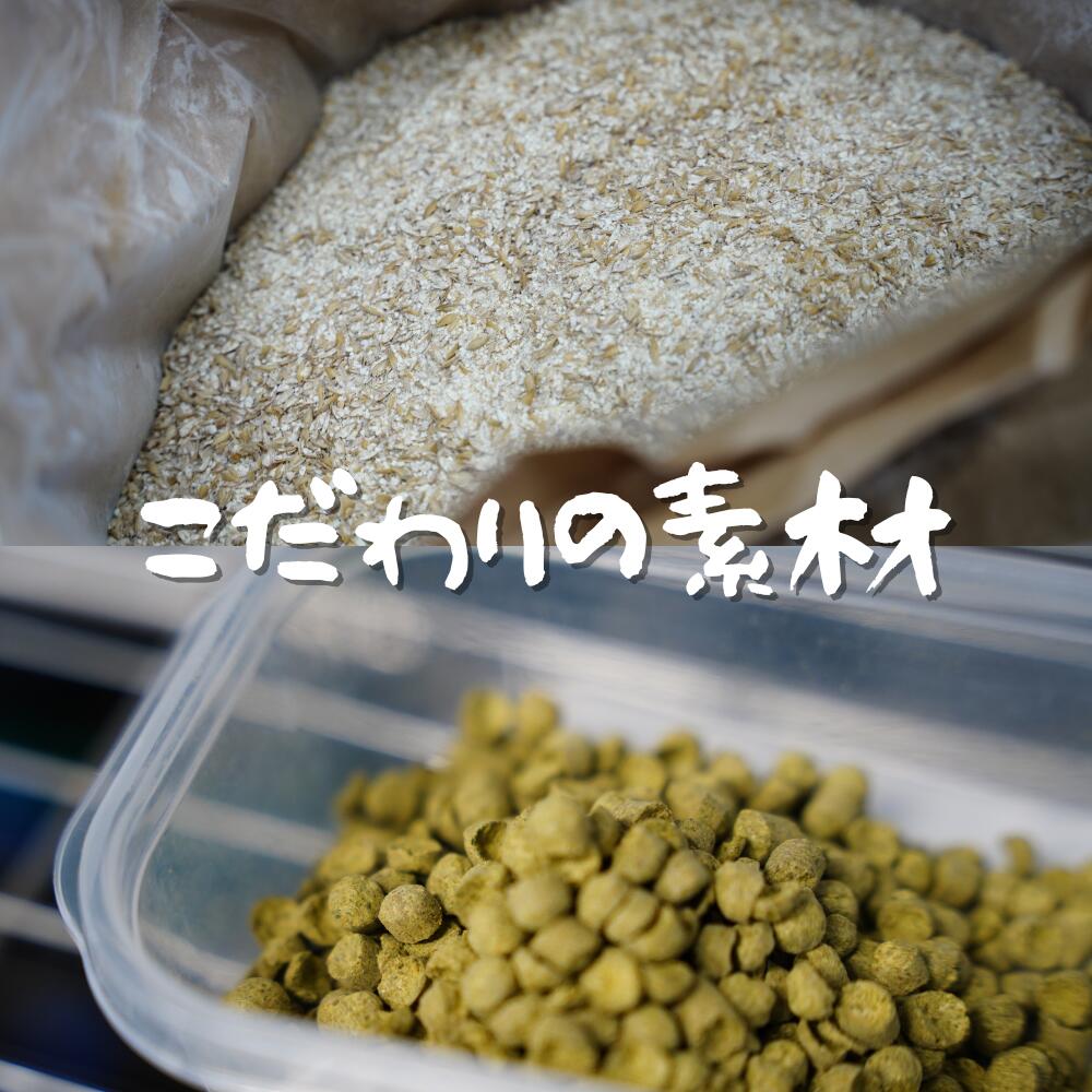 【ふるさと納税】ビール醸造体験