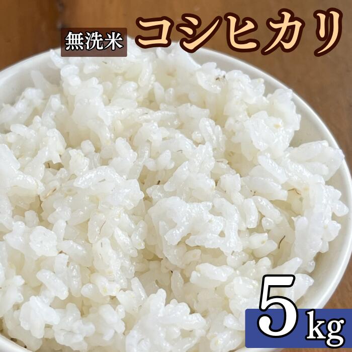 米 5kg 令和7年産 こしひかり 無洗米 米 こめ コメ 新潟県 産 おすすめ オススメ コウタロウ農園