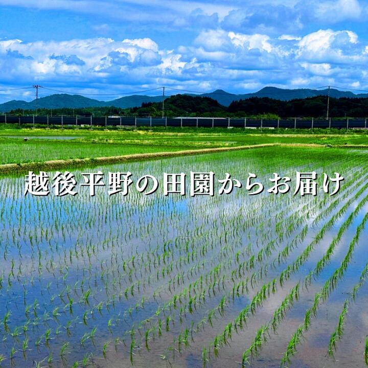 新潟県見附市の画像2