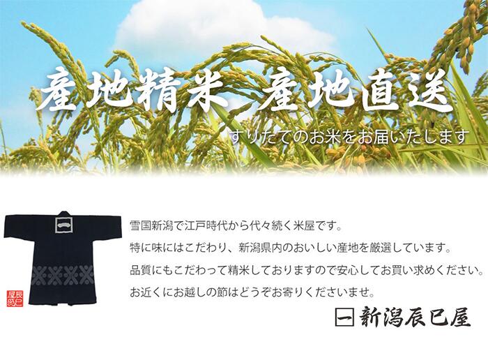【ふるさと納税】 米 2kg 3kg 5kg 10kg 令和7年産 3か月 定期便 こしひかり こしいぶき 精米 せいまい 米 こめ コメ 新潟県 産 おすすめ オススメ 新潟辰巳屋