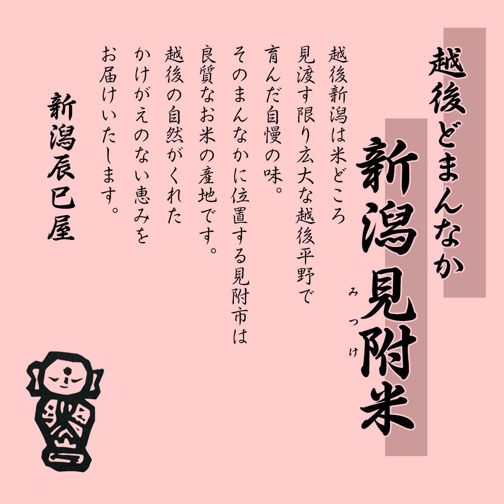 【ふるさと納税】 米 2kg 3kg 5kg 10kg 令和7年産 3か月 定期便 こしひかり こしいぶき 精米 せいまい 米 こめ コメ 新潟県 産 おすすめ オススメ 新潟辰巳屋 f152111-mitsuke-10000754 新潟県見附市 サンプル画像3