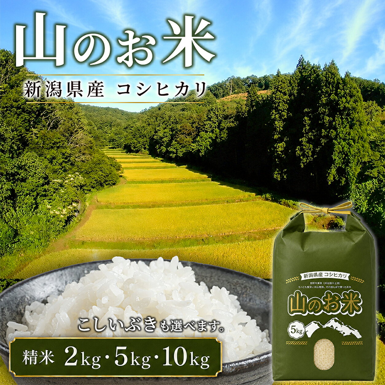 【ふるさと納税】 米 5kg 10kg 2kg 令和7年 8年産 こしひかり こしいぶき 精米 こめ コメ 新潟県 産 おすすめ オススメ 恵水