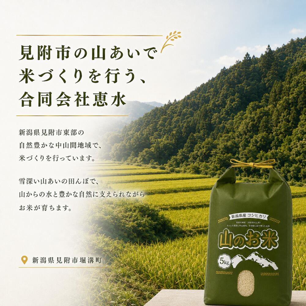 【ふるさと納税】 米 5kg 10kg 2kg 令和7年 8年産 こしひかり こしいぶき 精米 こめ コメ 新潟県 産 おすすめ オススメ 恵水