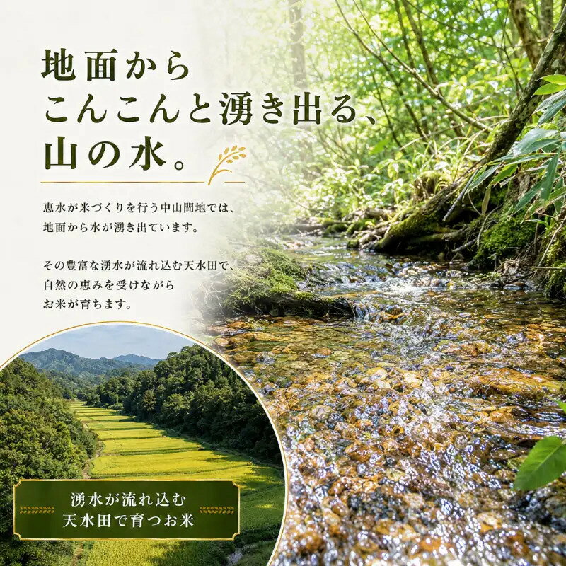 【ふるさと納税】【令和8年産 】新潟県産 農家応援米 精米 10kg 米 お米 新米 訳あり 大容量 f152111-mitsuke-10000882 新潟県見附市 サンプル画像2