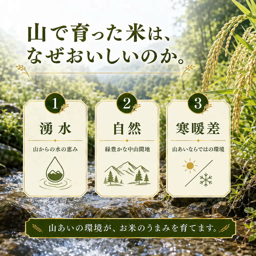 【ふるさと納税】【令和8年産 】新潟県産 農家応援米 精米 10kg 米 お米 新米 訳あり 大容量 f152111-mitsuke-10000882 新潟県見附市 サンプル画像3
