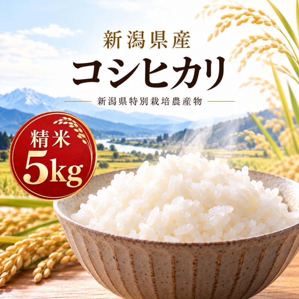 令和8年産 コシヒカリ 精米5kg