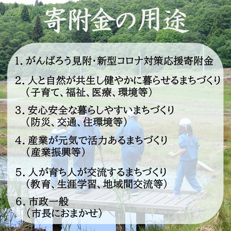 【ふるさと納税】【返礼品なし】新潟県見附市 へ...の紹介画像2