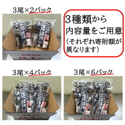 【ふるさと納税】 船内凍結するめいか 3尾×2袋 計6尾 セット 刺身 新潟 日本海 冷凍便 見附市 画像2