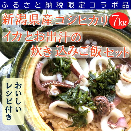 [ 新潟県産 コシヒカリ と イカ と お出汁の 炊き込みご飯 セット ] コシヒカリ 7kg (5kg袋+2kg袋) お米 + 日本海 船内凍結 するめいか 肝醤油 諸長 × 飛鳥フーズ × 新潟県 見附市 送料無料