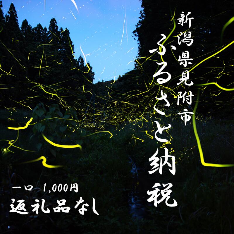 【ふるさと納税】【返礼品なし】新潟県見附市 への寄付 返礼品