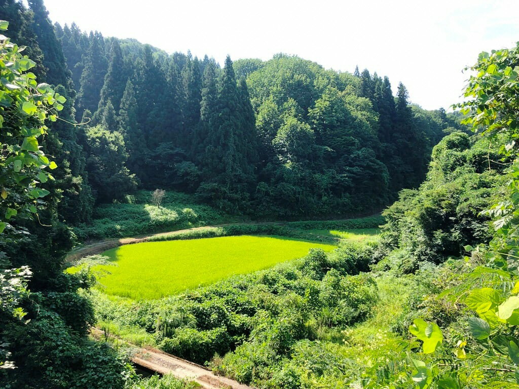 新潟県見附市の画像3