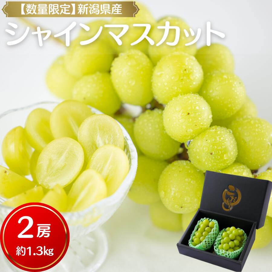 【ふるさと納税】予約商品 新潟県産 シャインマスカット 約1.3kg(2房) フルーツ マスカット 大粒 ぶどう ブドウ 果物 果実 くだもの 新鮮 送料無料