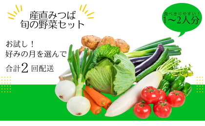 産直みつば 旬の野菜セット予約 1人～2人用 2回配送 おまかせ 選べる配送月 7月~11月 夏野菜 秋野菜 詰め合わせ 旬の野菜 新潟県 見附市 送料無料