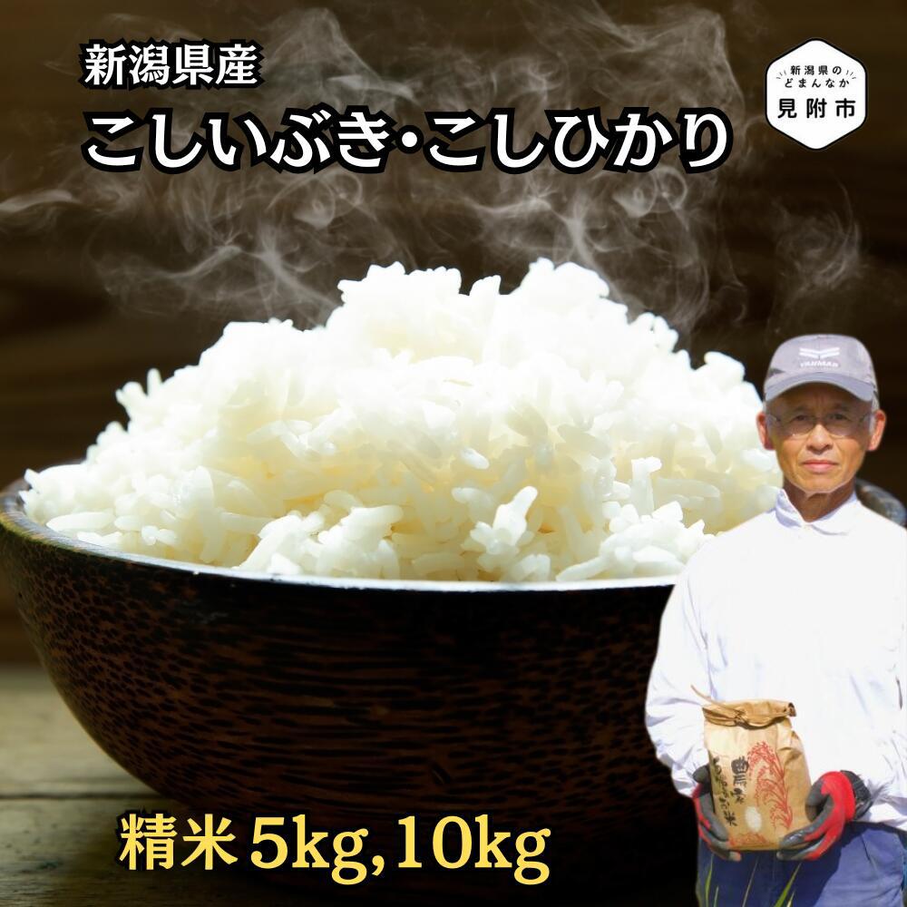 米 こしひかり こしいぶき 新潟県産 5kg 10kg 精米