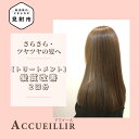 【ふるさと納税】 トリートメント 施術利用券 2回分 髪質改善 ACCUEILLIR 美容院 美容室 チケット 体験型 プレゼント ギフト 贈答 新潟県 見附市 送料無料