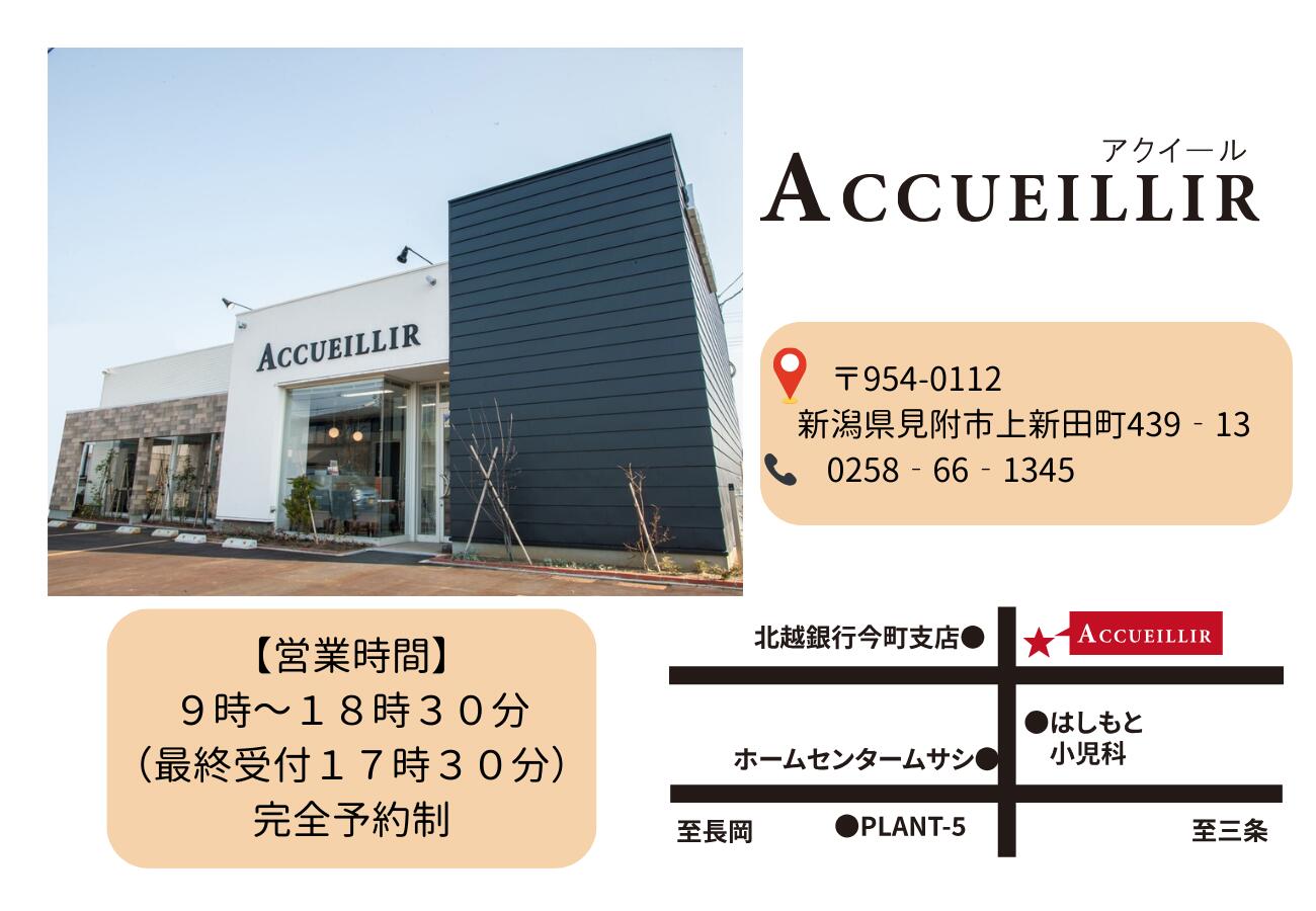 【ふるさと納税】 ヘッドスパ 施術利用券 2回分 リフトアップマッサージ ACCUEILLIR 美容院 美容室 チケット 体験型 プレゼント ギフト 贈答 新潟県 見附市 送料無料