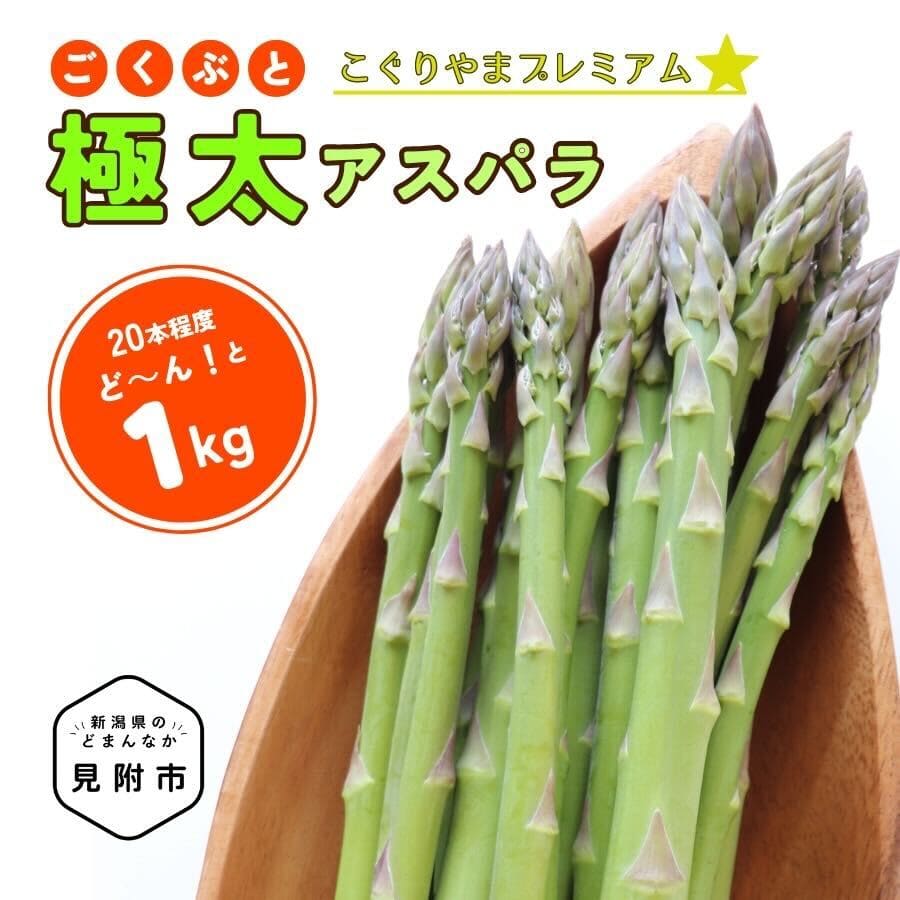 【ふるさと納税】 「極太」 アスパラガス 1kg 新潟県産 朝どれ アスパラ こぐりやまプレミアム 見附 お取り寄せ 令和6年産 送料無料