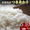 【ふるさと納税】米 5kg 10kg 新潟県産 令和7年産 つきあかり お米 精米 コスパ ごはん ブランド 品種 送料無料 新潟県 ご飯 おこめ 新潟産 新潟 見附 見附市
