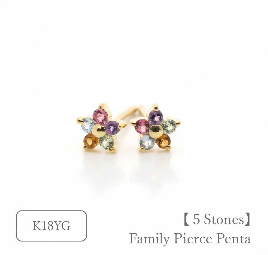 【ふるさと納税】大切な人の宝石を紡ぐ【5石】-Family Pierce Penta（ファミリーピアス・ペンタ）【選べる誕生石】｜K18イエローゴールド プラチナ｜Artisan Works｜FP-001-S5