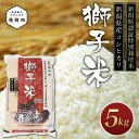 2位! 口コミ数「2件」評価「4.5」米 5kg 新潟県産 特別栽培米 コシヒカリ 令和5年産 「獅子米」 お米 精米 ごはん ブランド 品集 送料無料 新潟県認証米 安心安全