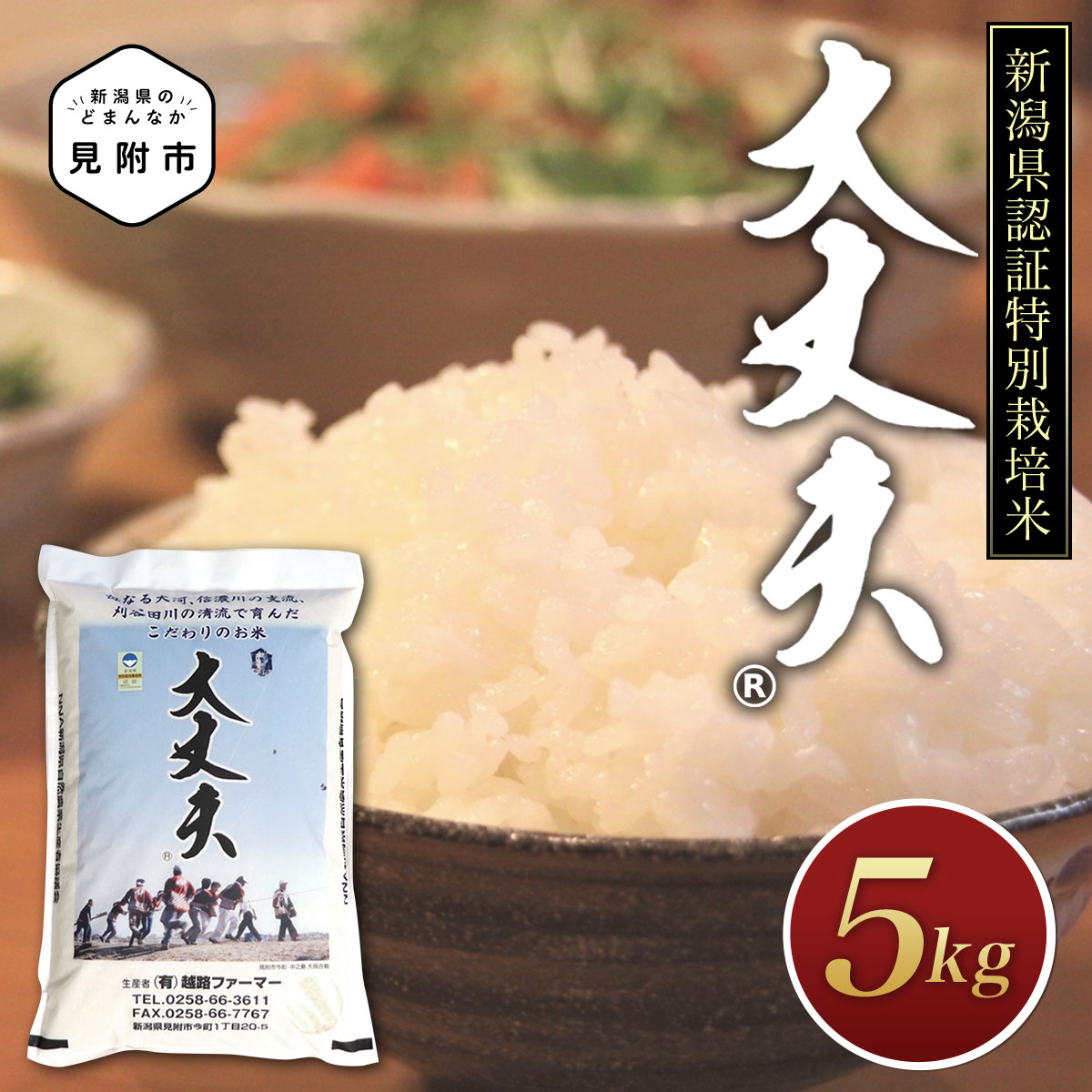 米 5kg令和5年産 新潟県 コシヒカリ 特別栽培米「大丈夫コシヒカリ」 精米 したてを お届け 新潟 のど真ん中 見附市 こしひかり 米 お米 白米 国産 ごはん ご飯 県認証米 安心安全 送料無料