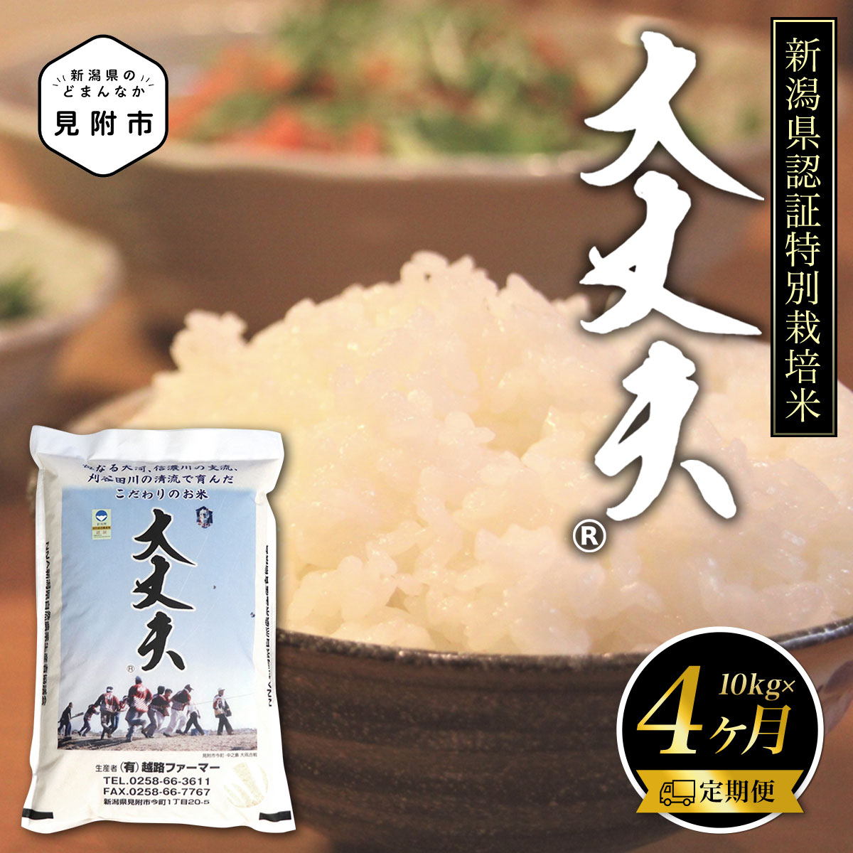 米 計40kg 10kg × 4カ月 定期便 4回 コシヒカリ 令和5年産 特別栽培米「大丈夫コシヒカリ」 精米 新潟県産 県認証米 安心安全 ブランド 品集 送料無料