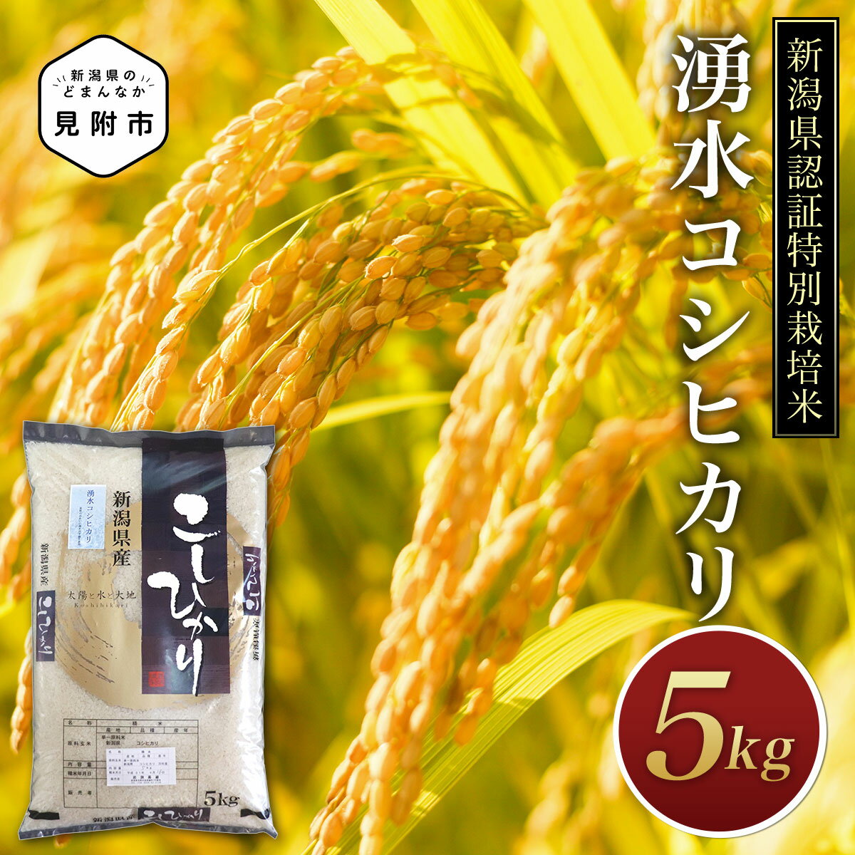 米 精米 5kg 新潟 特別栽培米 令和5年産 コシヒカリ 「湧水コシヒカリ」精米 したてを お届け 新潟 のど真ん中 見附市 こしひかり 米 お米 白米 国産 ごはん ご飯 県認証米 安心安全 送料無料