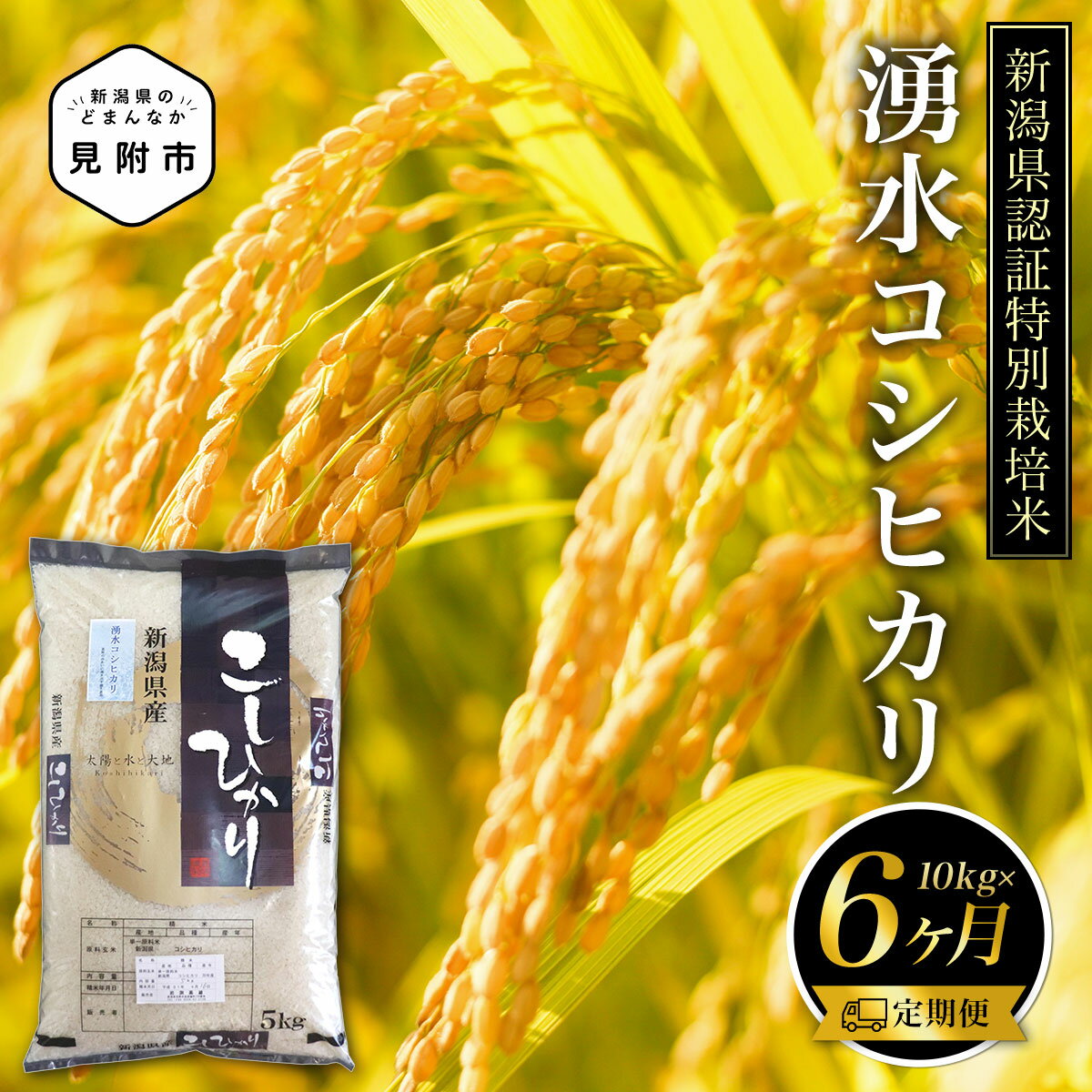 【ふるさと納税】米 合計 60kg ( 10kg×6カ月 ）定期便 新潟 特別栽培米 令和5年産 コシヒカリ 「湧水コシヒカリ」 精米 したてを お届け 新潟 のど真ん中 見附市 こしひかり 米 お米 白米 国産 ごはん ご飯 県認証米 安心安全 ブランド 品集 送料無料