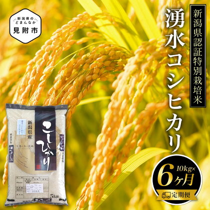 米 合計 60kg ( 10kg×6カ月 ）定期便 新潟 特別栽培米 令和5年産 コシヒカリ 「湧水コシヒカリ」 精米 したてを お届け 新潟 のど真ん中 見附市 こしひかり 米 お米 白米 国産 ごはん ご飯 県認証米 安心安全 ブランド 品集 送料無料