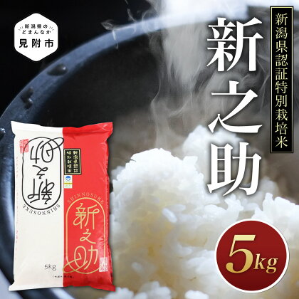 米 5kg 新潟 令和5年産 新之助 精米 お米 精米 ごはん ブランド 品集 送料無料 新潟県認証米 特別栽培米 安心安全